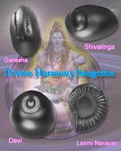 Auspicious Divine Harmony Sangraha-DHS001